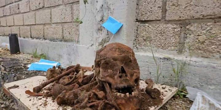 Familiares y colectivos acusan a funcionarios municipales de exhumar restos sin autorización y trasladarlos a predios vecinos, lo que habría permitido la comercialización ilegal de sepulturas