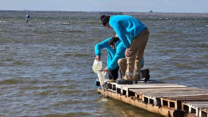 Informe Especial Laguna Chasicó: sin peces y sin posibilidad de siembra por alta salinidad