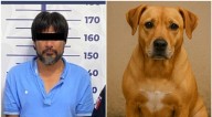 Perrita intenta defender a su dueña de ataque con cuchillo y la matan en Puebla