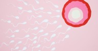 ¿Por qué está bajando la calidad del esperma? Expertos explican cómo se está deteriorando la fertilidad masculina