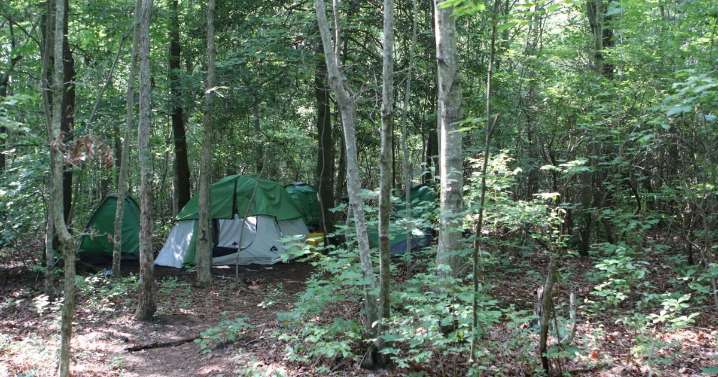 Cape May County commissioners approve $300K for homeless initiative