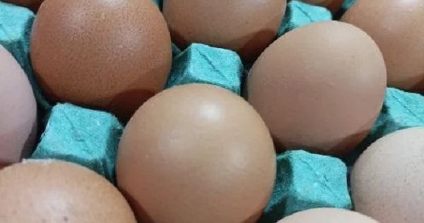 Récord histórico de consumo de huevo en Argentina: 380 por persona en el 2025