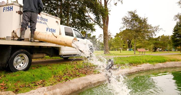 'Day in the Park' at Waller Park Sunday to offer fishing derby, car show, music