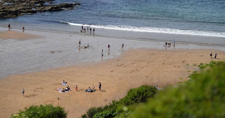 Woman describes 'scary' moment swimmer began to drown in front of her on Plymouth beach