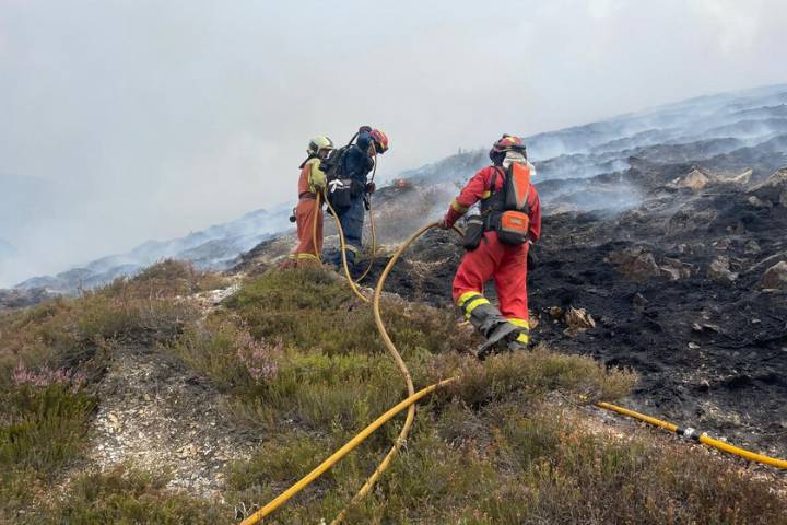 Tras la ola de incendios, España afronta un desafío mayor: decidir si quiere los bosques de antes o bosques del futuro