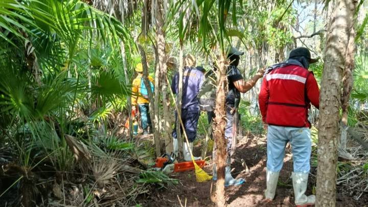 Implementan acciones para contener incendio en área natural de Holbox