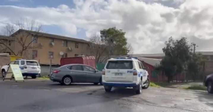 Matanza de perros en sede municipal abandonada de Talca: PDI investiga bajo Ley Cholito redmaule 22/08/2025