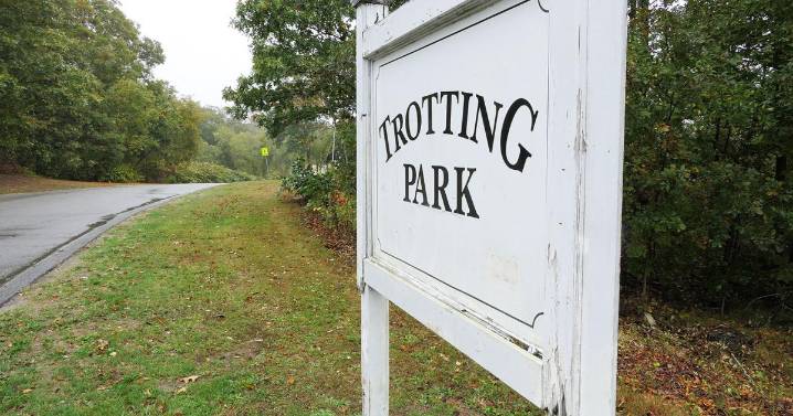 Turf Or Grass? Health Board Asked To Weigh In On Trotting Park Fields