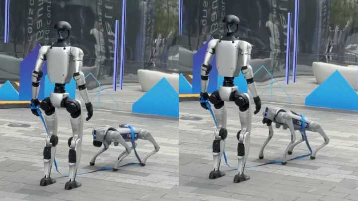 El futuro se acerca: un robot pasea a un perro robot