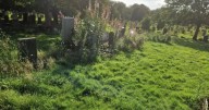 Fury over 'overgrown' Glasgow cemetery where woman's loved ones are buried