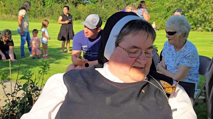 150 monarchs released at Oakes Hospital Healing Garden
