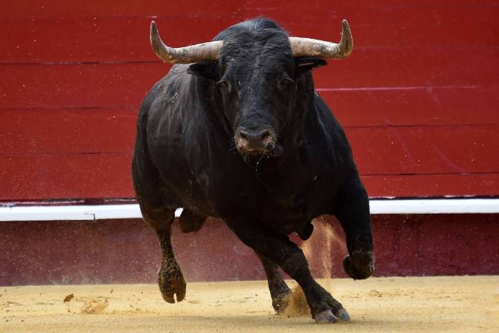 Huamantlada 2025: Reportan 8 personas lesionadas, una de gravedad, en Tlaxcala