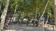 Se buscan vecinos en este pueblo de Albacete próximo a Valencia: hay trabajo abundante y casas por 200 euros al mes