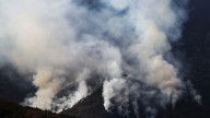 Avance "significativo" y favorable de los fuegos en Castilla y León, pendientes del viento