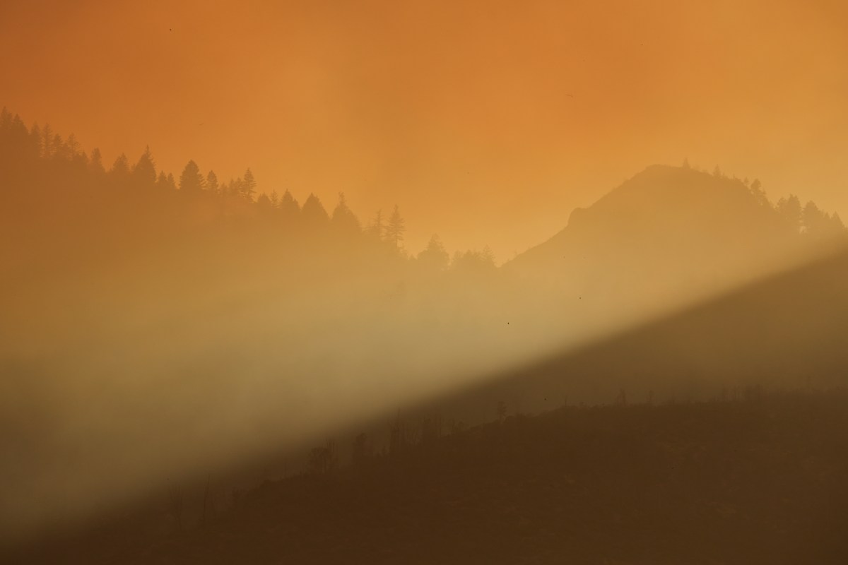 Incendio forestal obliga a ordenar evacuaciones en el condado de Napa en California