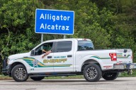 Everglades, de oasis de naturaleza a desafío del centro migratorio 'Alligator Alcatraz'