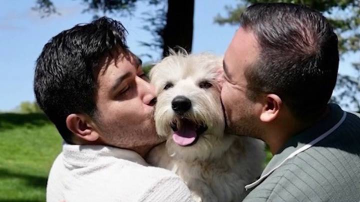 Perrita Stormy es adoptada tras vivir en refugios – Telemundo Washington DC (44)