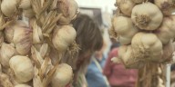 Bennington is Garlic Town U.S.A