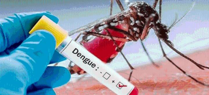 Cinco muertes por dengue en el Huila en lo corrido del año