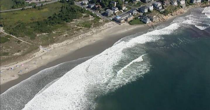 Shark sighting closes popular North Shore, Massachusetts beach for swimming for 2nd day in a row