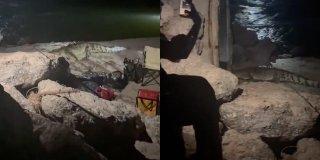 Sigue el avistamiento de cocodrilos en zona costera