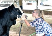 Rodeo takes center stage at 97th Westfield Fair this weekend