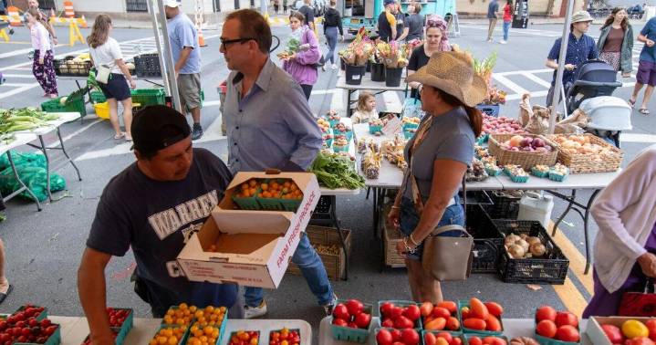 Sunday at Schenectady's Greenmarket. Pictures from the day