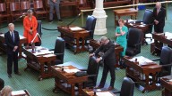Texas Senate approves redrawn congressional map favouring Republicans