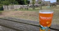 Bristol's best beer garden as top five across city announced
