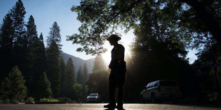 Trans biologist fired from Yosemite National Park after stunt with transgender flag