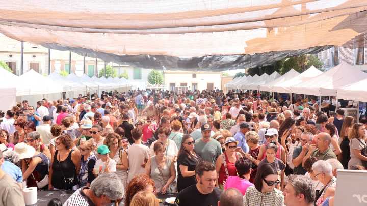 La Feria del Tomate de Martín Muñoz de las Posadas consolida su éxito con récord de asistencia en su séptima edición
