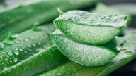 Aloe vera en el rostro: los beneficios de la planta que cuida, calma y regenera la piel