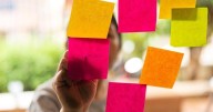 'It’s never too late': How 3 founders launched successful businesses later in life