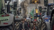 Los agricultores europeos preparan protestas este septiembre contra el pacto de aranceles con Trump