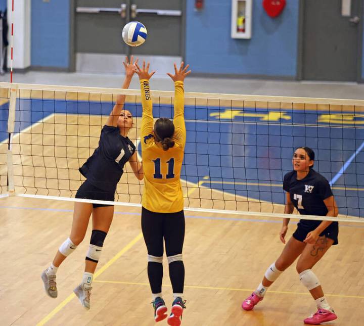 BIIF volleyball: Waiakea wins five-set thriller; Lady Cougars and Trojans sweep