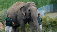 2 people facing charges for unauthorized protest at Edmonton Valley Zoo