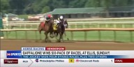 Gaffalione has stakes-laden, six pack of wins, on Ellis Park Derby Day, Sunday