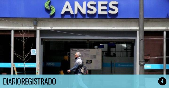 Sigue el pago: en qué fechas cobran las Pensiones No Contributivas de ANSES en agosto 2025