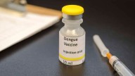 Avance histórico en medicina: aprueban la primera vacuna contra el dengue en América Latina
