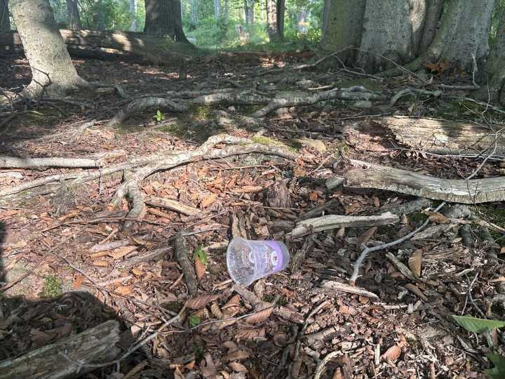 Please Stop Doing This In New York State Parks