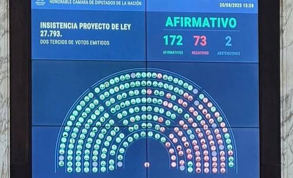 Uno por uno, cómo votó cada diputado el rechazo al veto en Discapacidad