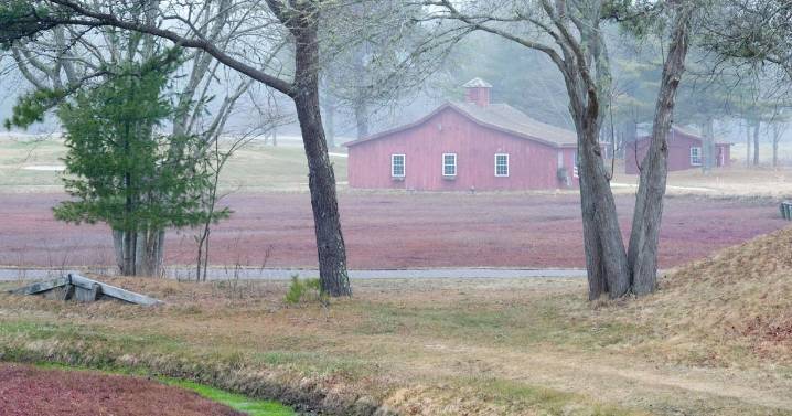 Willowbend True Crime Event Canceled