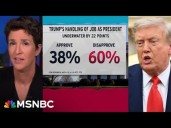 Trump's Poll Numbers In The Toilet On EVERYTHING
