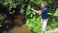Winter Springs critical city-wide creek cleanout complete
