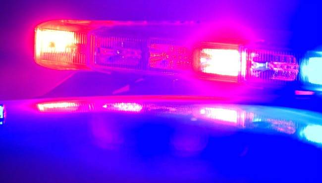Human remains found in Shelbyville identified
