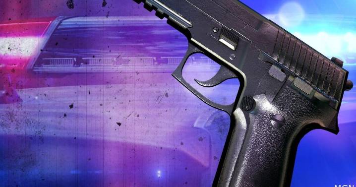 Rockford couple charged after shooting at car with women and a child inside