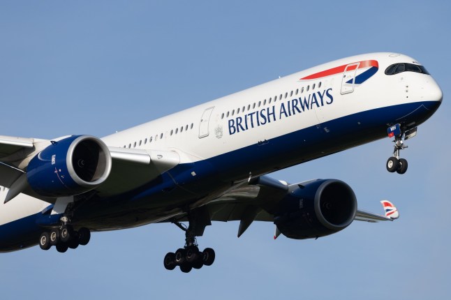 Group of passengers removed from BA flight because plane was too heavy