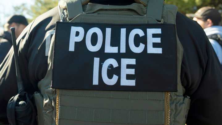 Man struck and killed on freeway after fleeing immigration agents, California official says