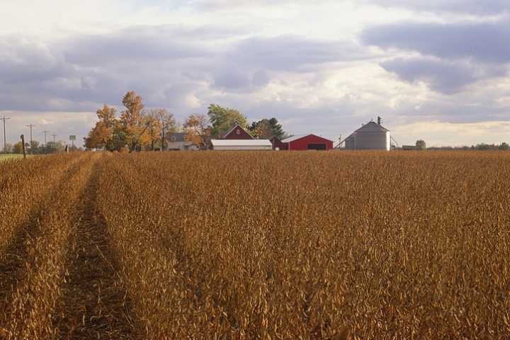 95 Indiana Farms Recognized for Century