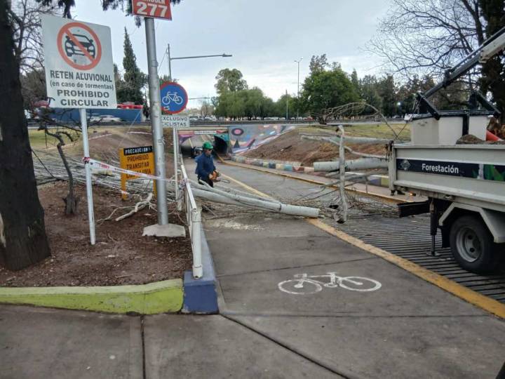 Las zonas de Mendoza más golpeadas por la tormenta de Santa Rosa